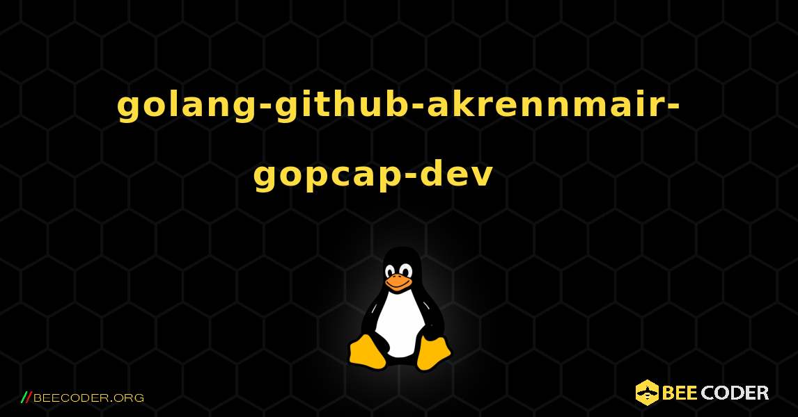 golang-github-akrennmair-gopcap-dev 를 설치하는 방법. Linux