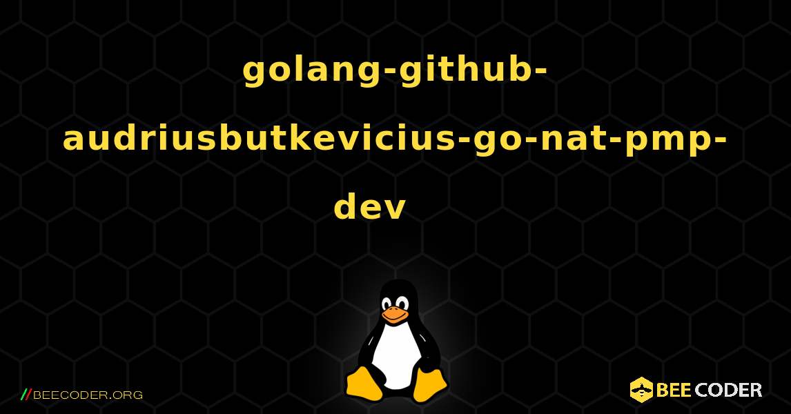golang-github-audriusbutkevicius-go-nat-pmp-dev 를 설치하는 방법. Linux