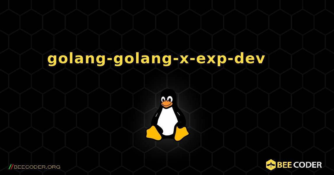 golang-golang-x-exp-dev 를 설치하는 방법. Linux