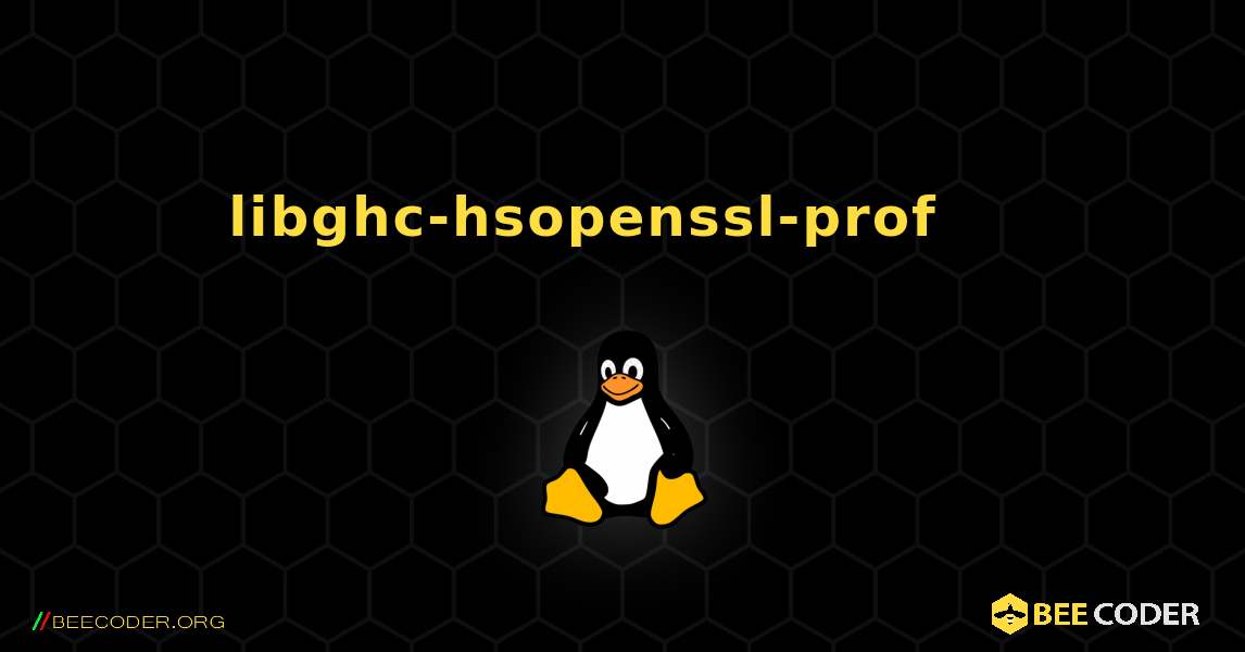 libghc-hsopenssl-prof 를 설치하는 방법. Linux