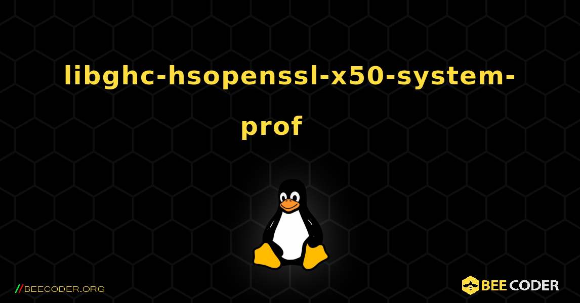 libghc-hsopenssl-x50-system-prof 를 설치하는 방법. Linux