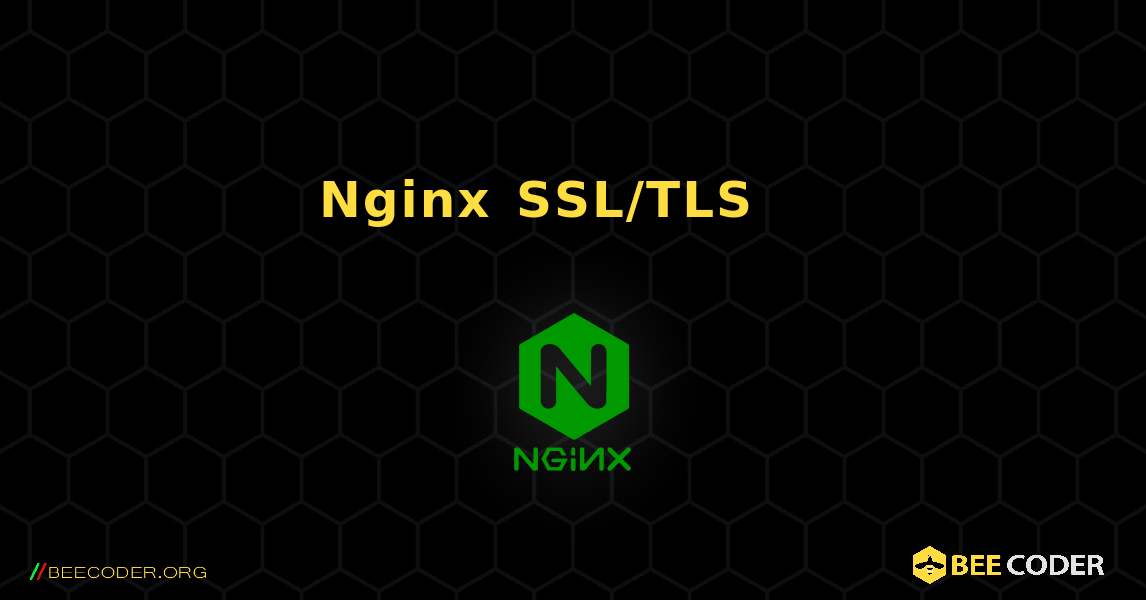 Nginx에서 SSL/TLS 인증서를 설치하는 방법. NGINX