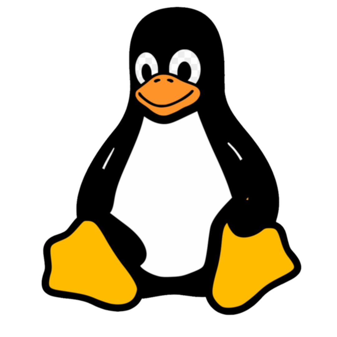 code examples and answer to questions in Linux
