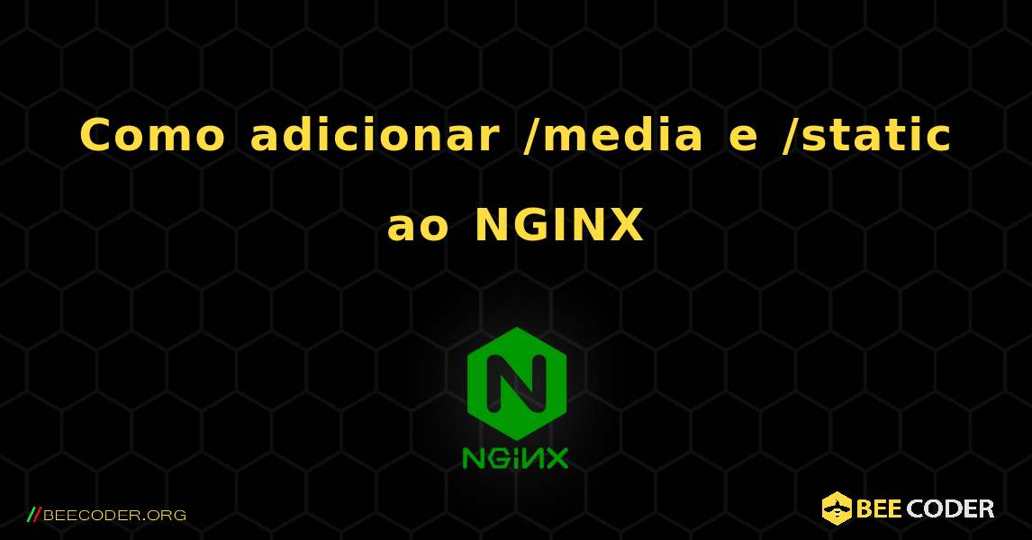 Como adicionar /media e /static ao NGINX. NGINX