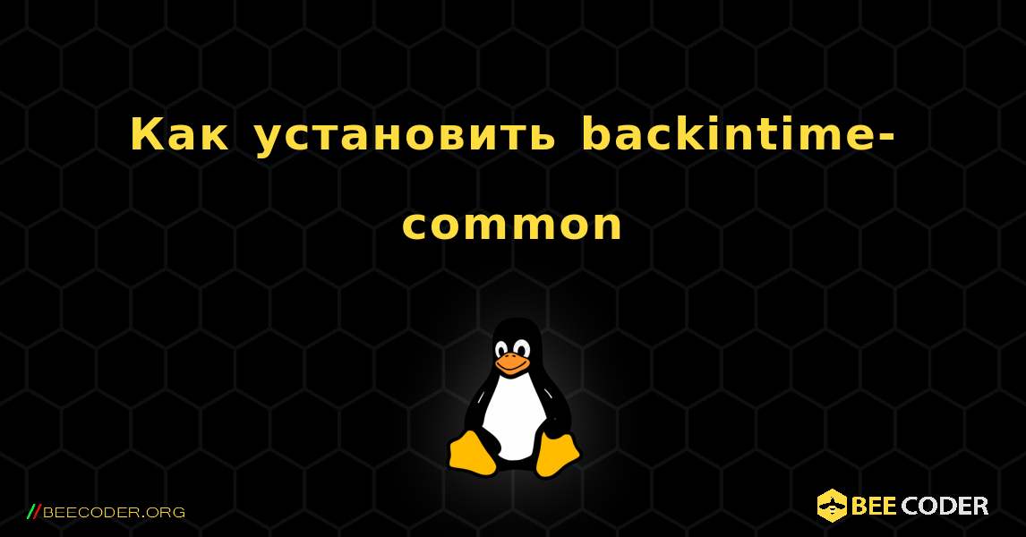 Как установить backintime-common . Linux