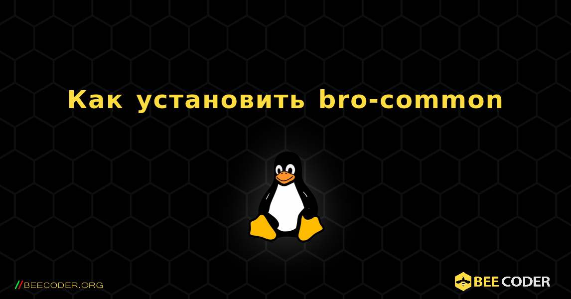 Как установить bro-common . Linux