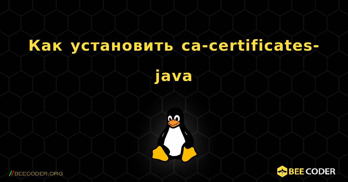 Как установить ca-certificates-java . Linux