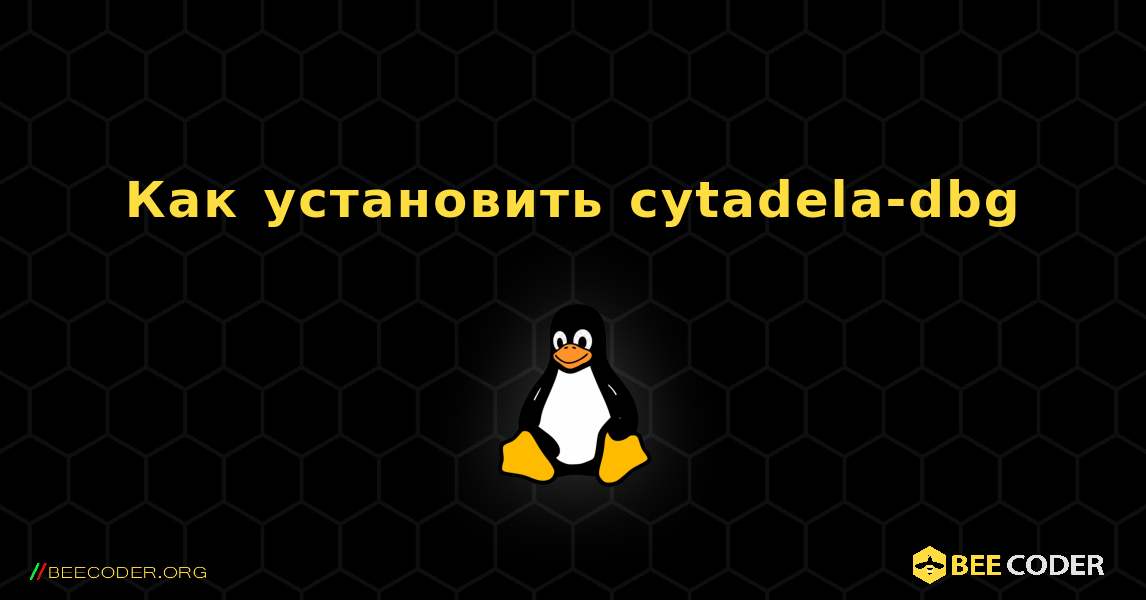 Как установить cytadela-dbg . Linux