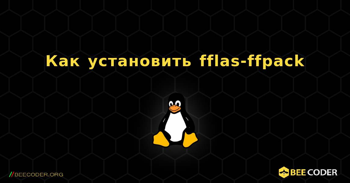 Как установить fflas-ffpack . Linux