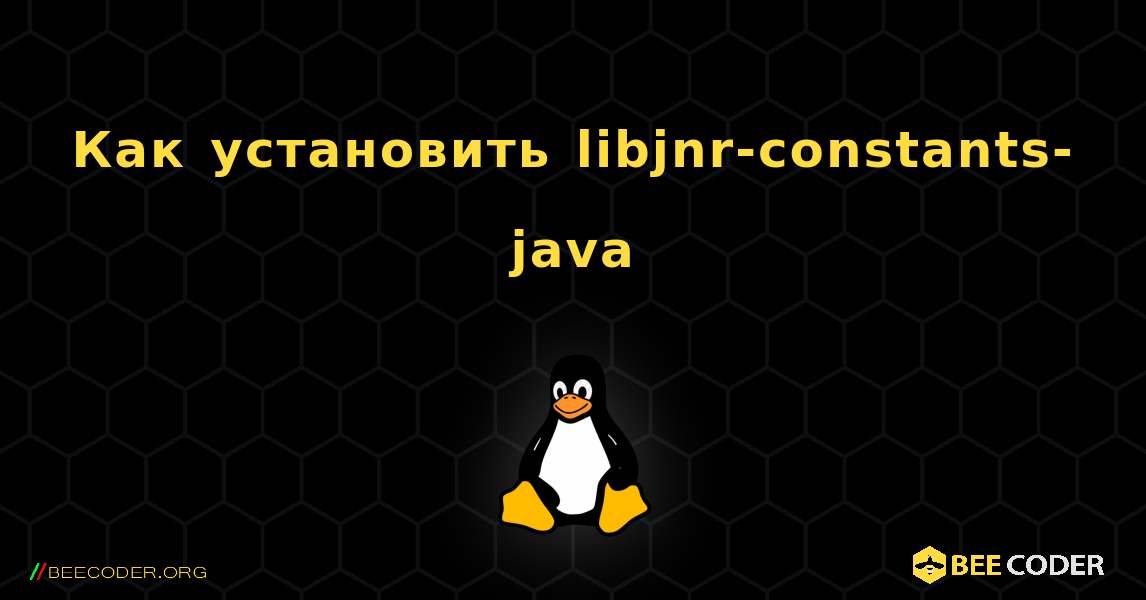 Как установить libjnr-constants-java . Linux