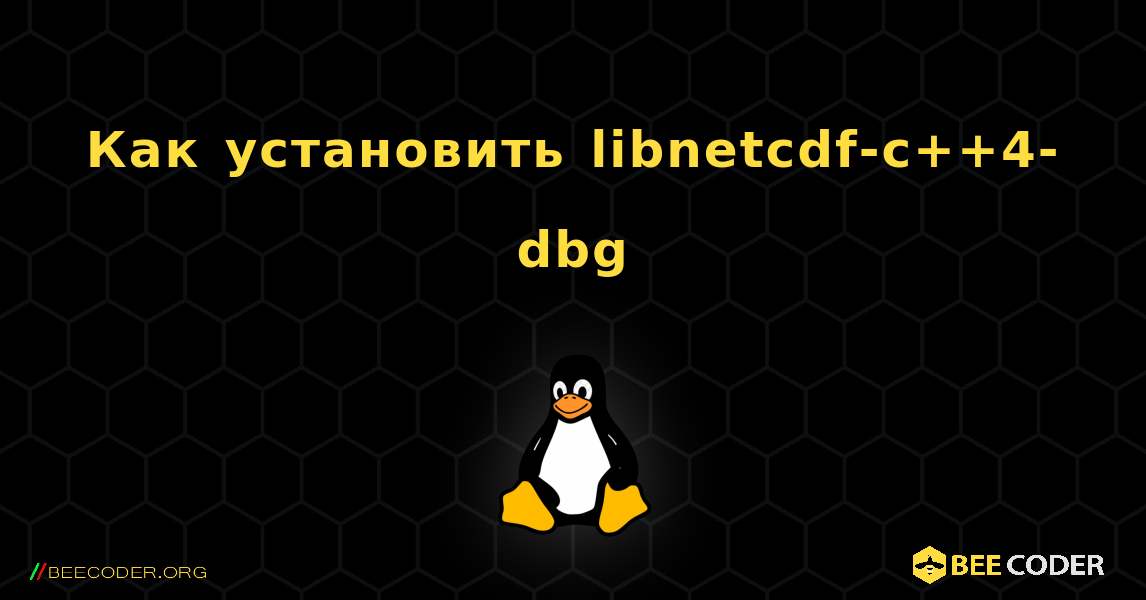 Как установить libnetcdf-c++4-dbg . Linux