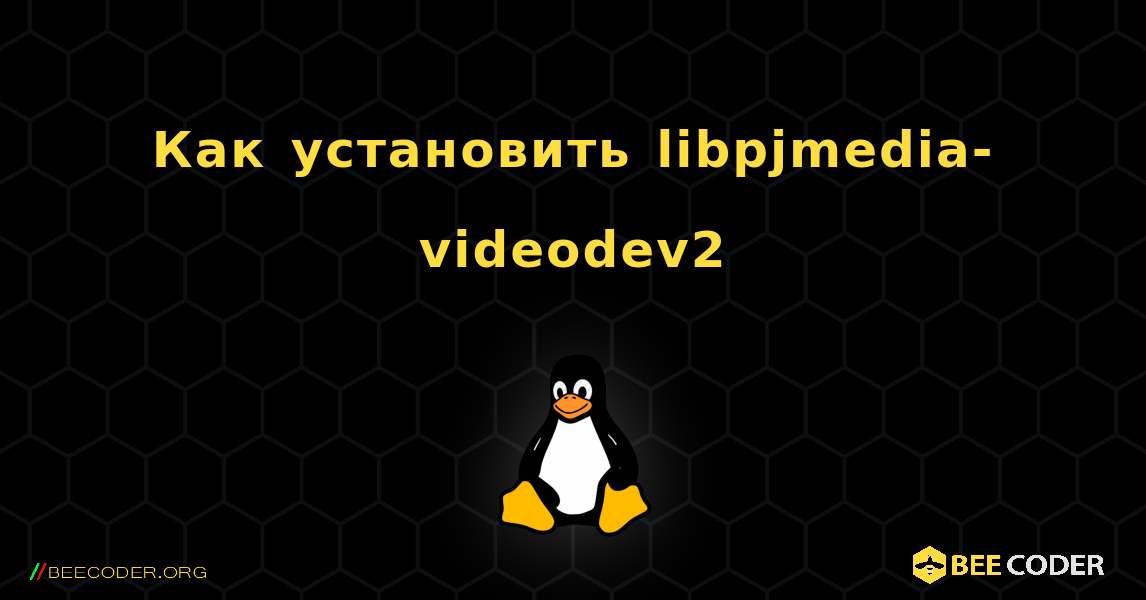 Как установить libpjmedia-videodev2 . Linux