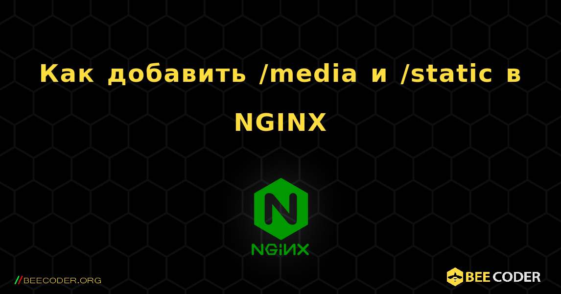 Как добавить /media и /static в NGINX. NGINX