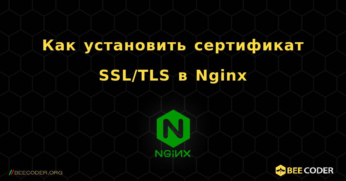 Как установить сертификат SSL/TLS в Nginx. NGINX