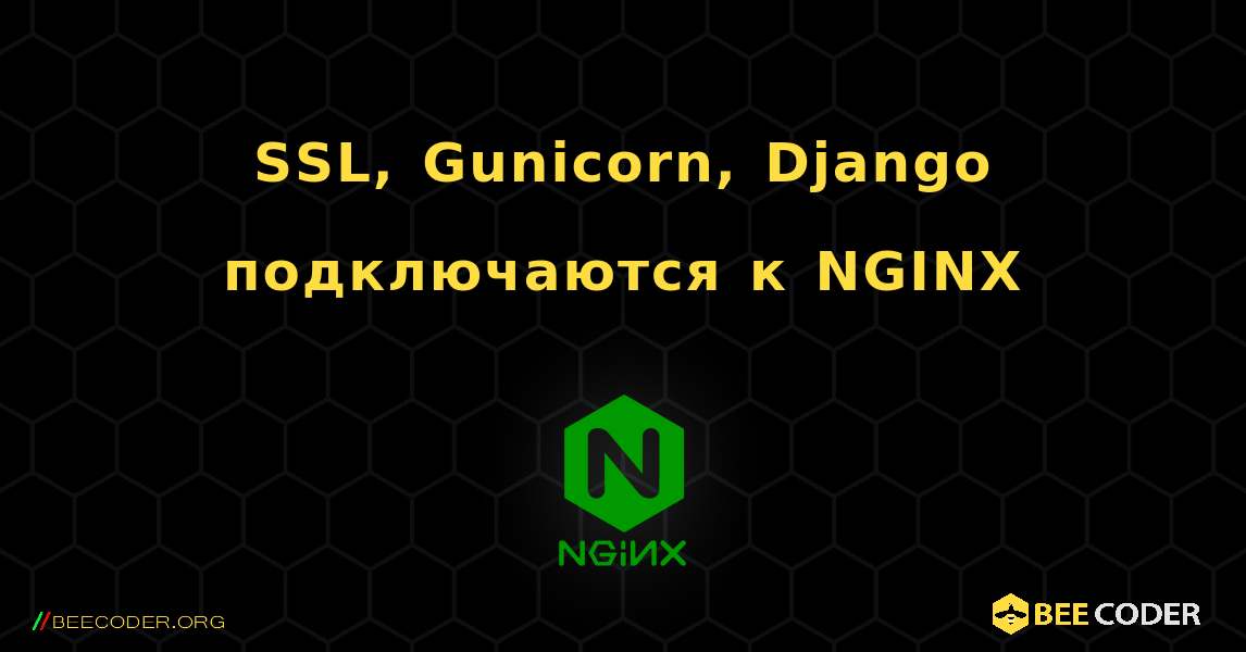 SSL, Gunicorn, Django подключаются к NGINX. NGINX