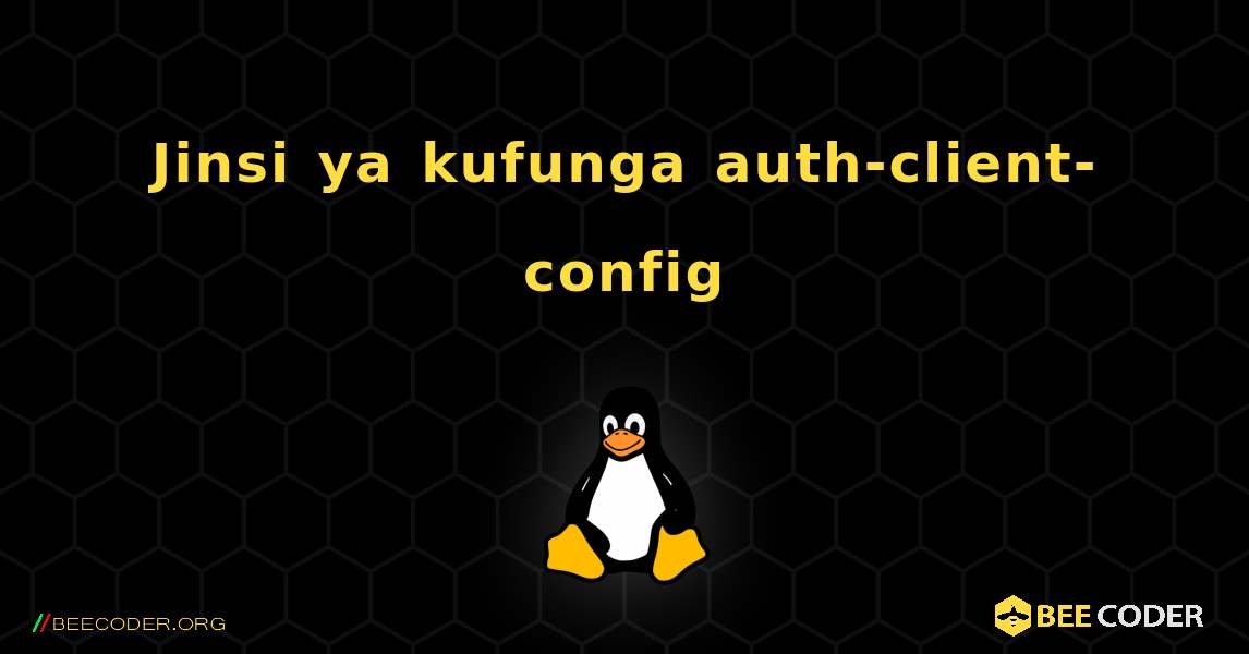 Jinsi ya kufunga auth-client-config . Linux