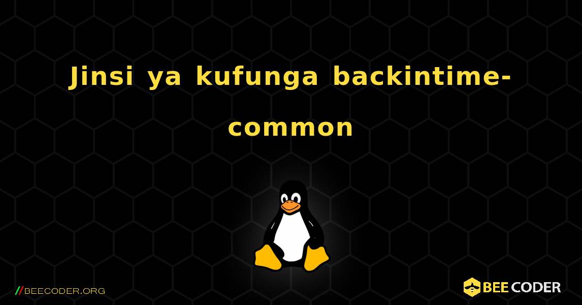 Jinsi ya kufunga backintime-common . Linux