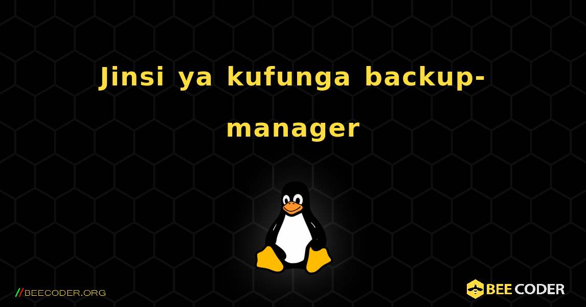 Jinsi ya kufunga backup-manager . Linux