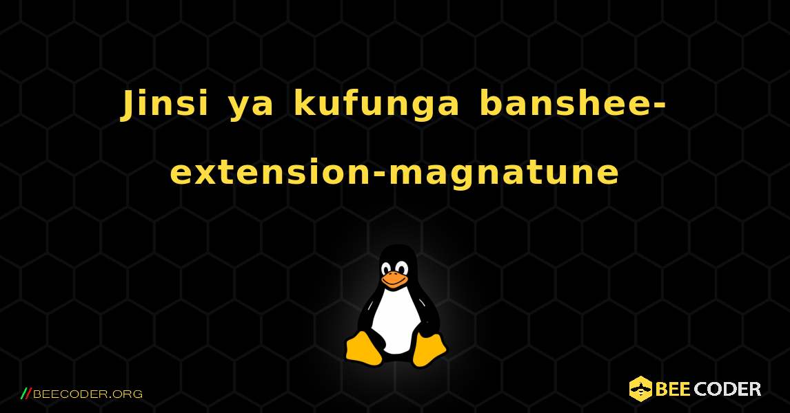 Jinsi ya kufunga banshee-extension-magnatune . Linux