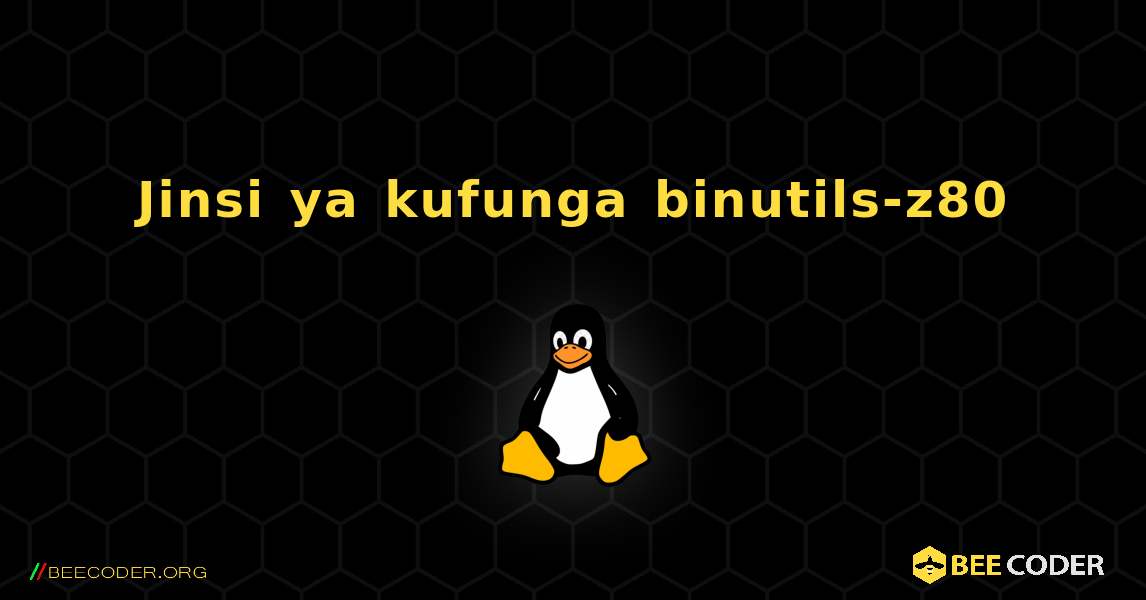 Jinsi ya kufunga binutils-z80 . Linux