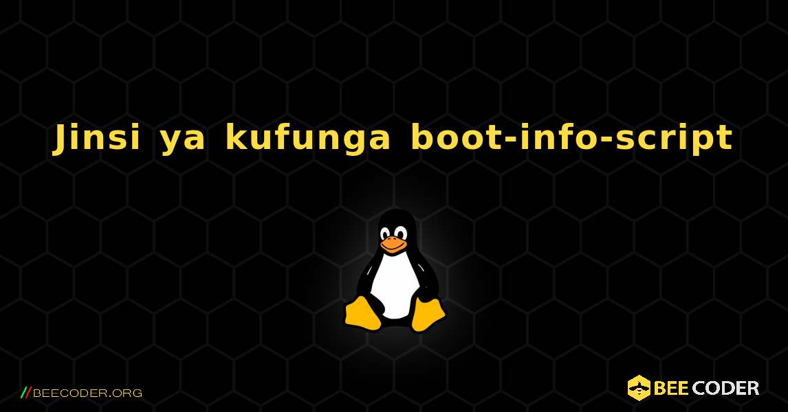 Jinsi ya kufunga boot-info-script . Linux