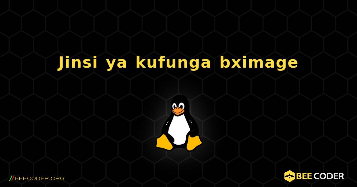 Jinsi ya kufunga bximage . Linux