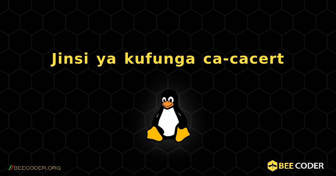 Jinsi ya kufunga ca-cacert . Linux