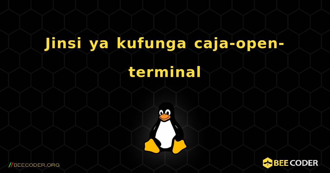 Jinsi ya kufunga caja-open-terminal . Linux