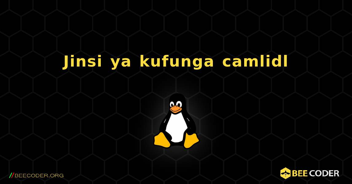 Jinsi ya kufunga camlidl . Linux