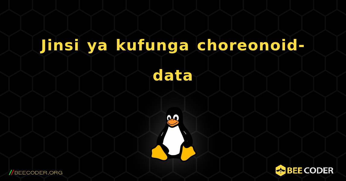 Jinsi ya kufunga choreonoid-data . Linux
