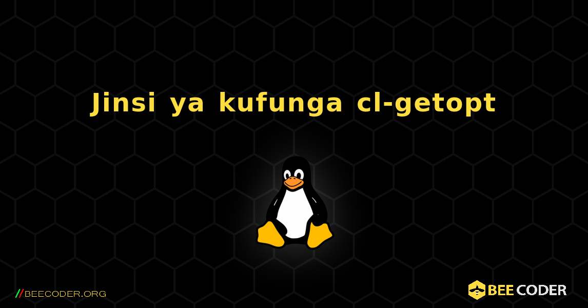 Jinsi ya kufunga cl-getopt . Linux