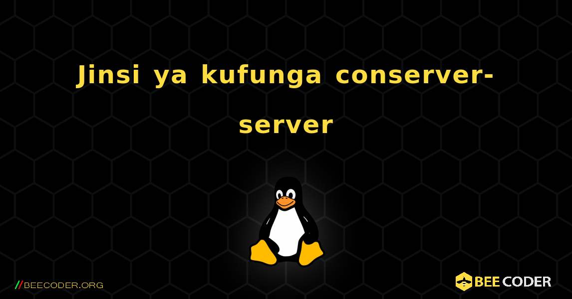 Jinsi ya kufunga conserver-server . Linux
