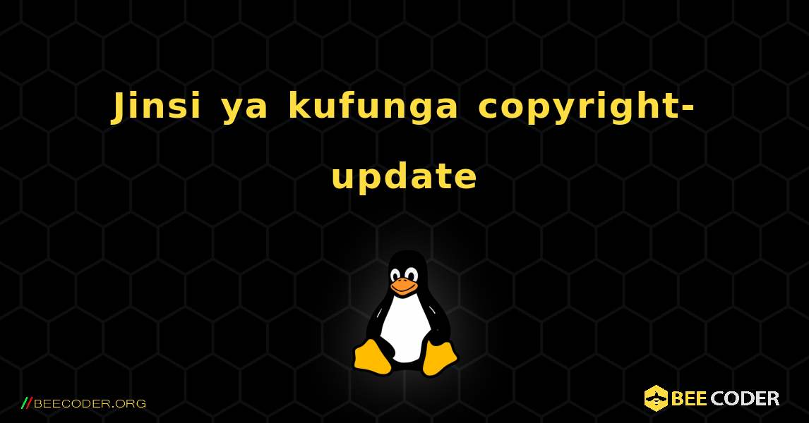 Jinsi ya kufunga copyright-update . Linux