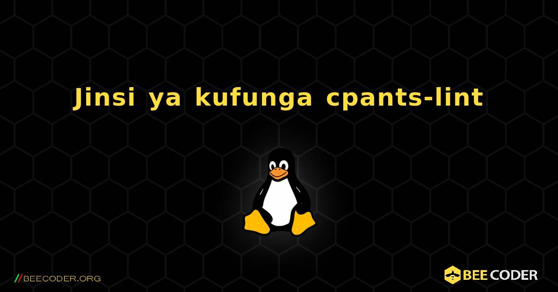 Jinsi ya kufunga cpants-lint . Linux