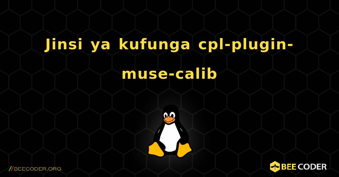 Jinsi ya kufunga cpl-plugin-muse-calib . Linux