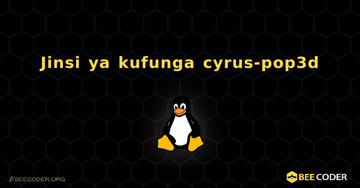 Jinsi ya kufunga cyrus-pop3d . Linux