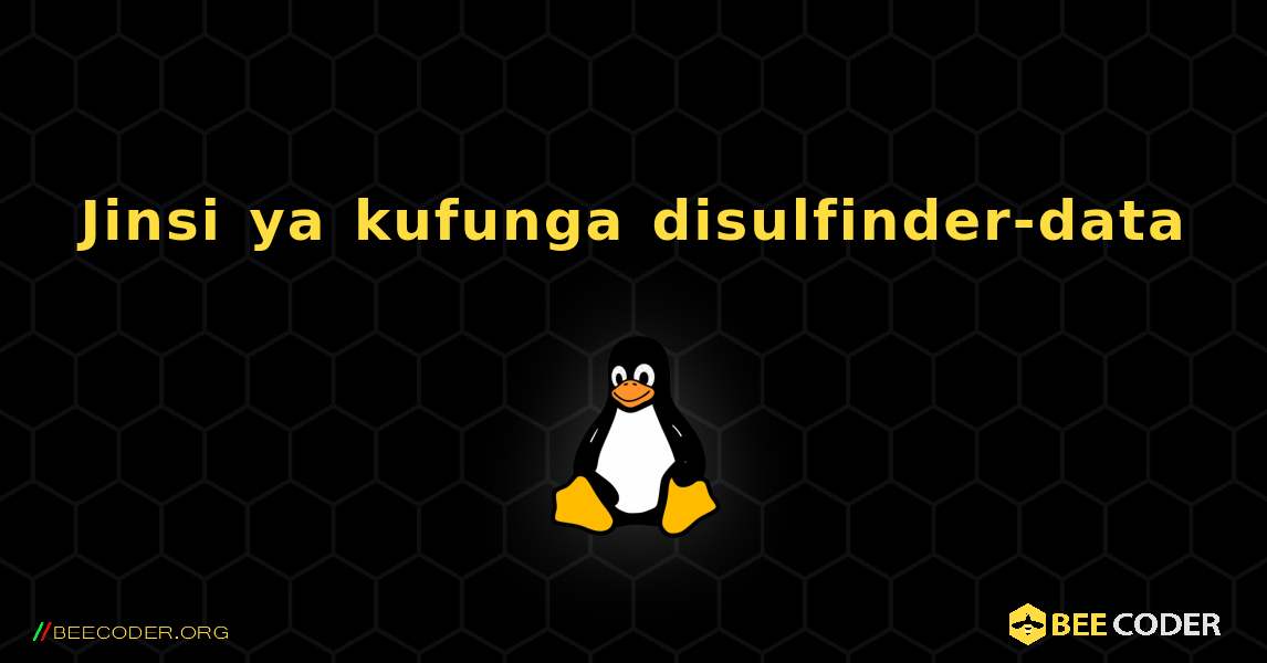 Jinsi ya kufunga disulfinder-data . Linux
