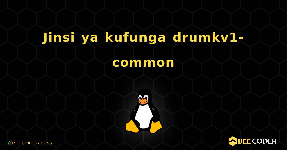 Jinsi ya kufunga drumkv1-common . Linux