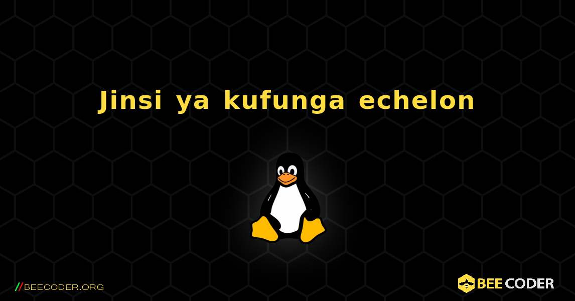 Jinsi ya kufunga echelon . Linux