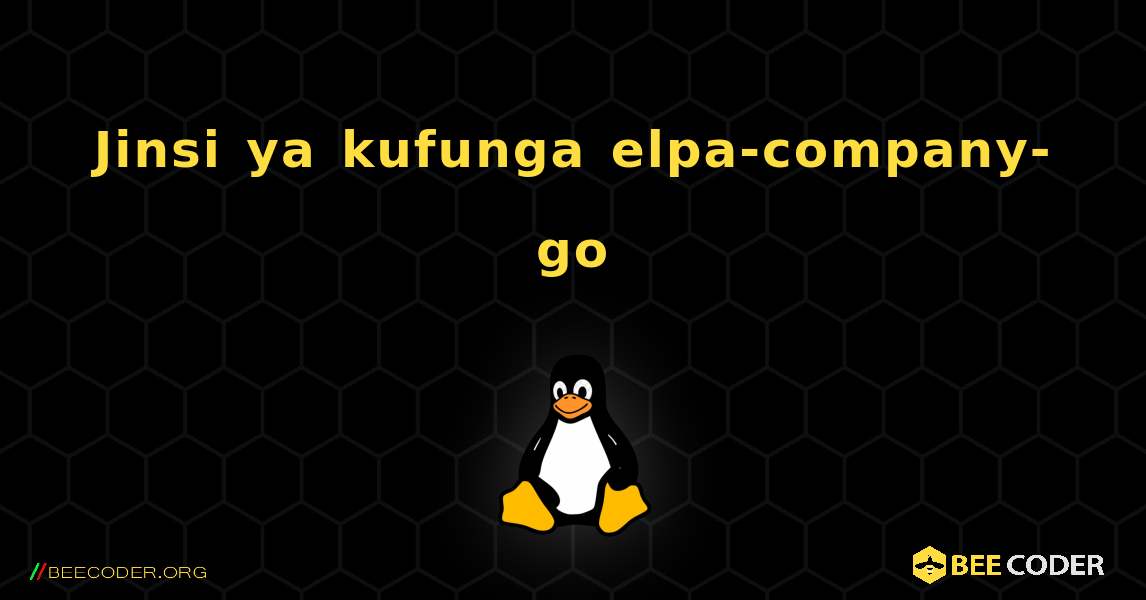 Jinsi ya kufunga elpa-company-go . Linux