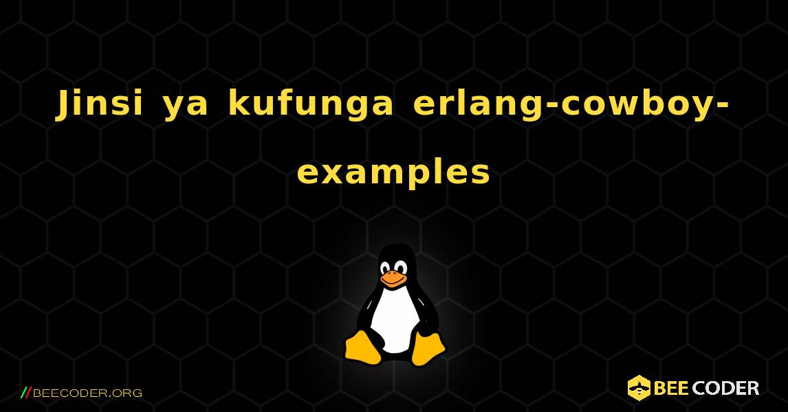 Jinsi ya kufunga erlang-cowboy-examples . Linux