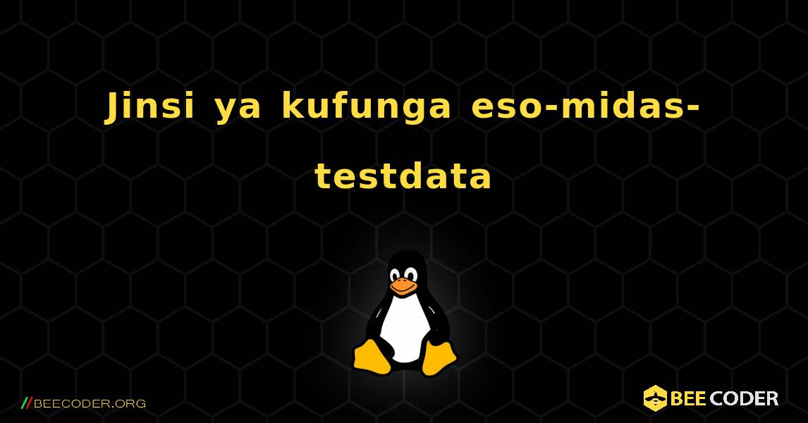Jinsi ya kufunga eso-midas-testdata . Linux