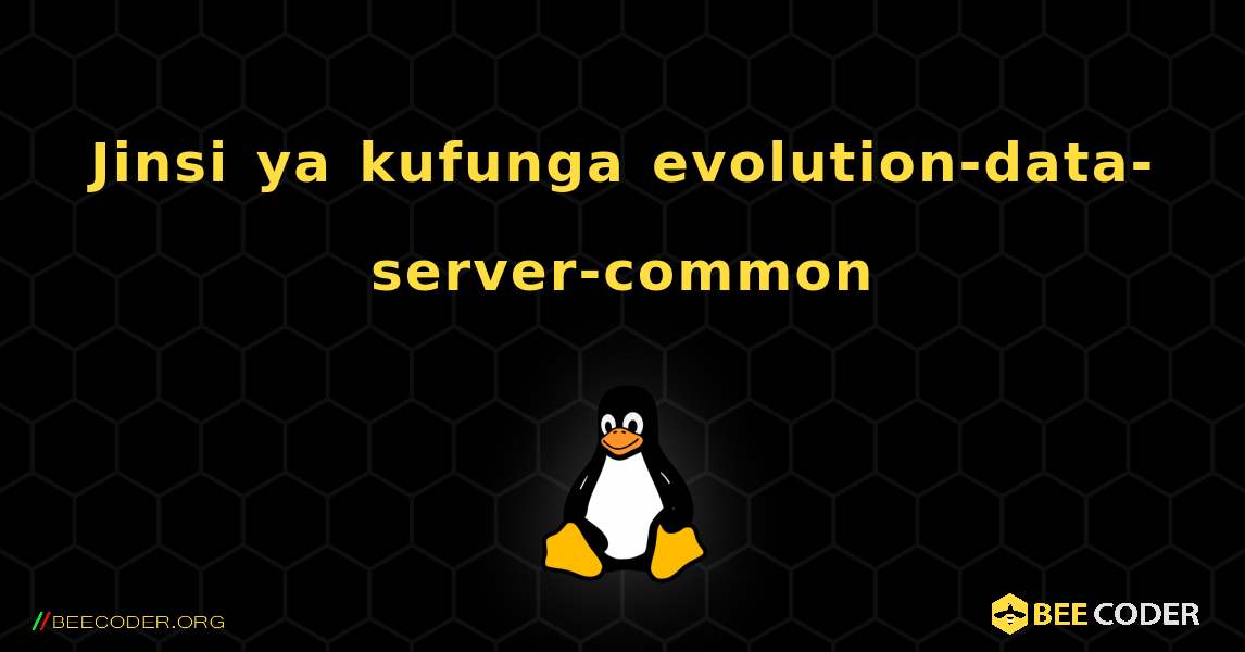 Jinsi ya kufunga evolution-data-server-common . Linux