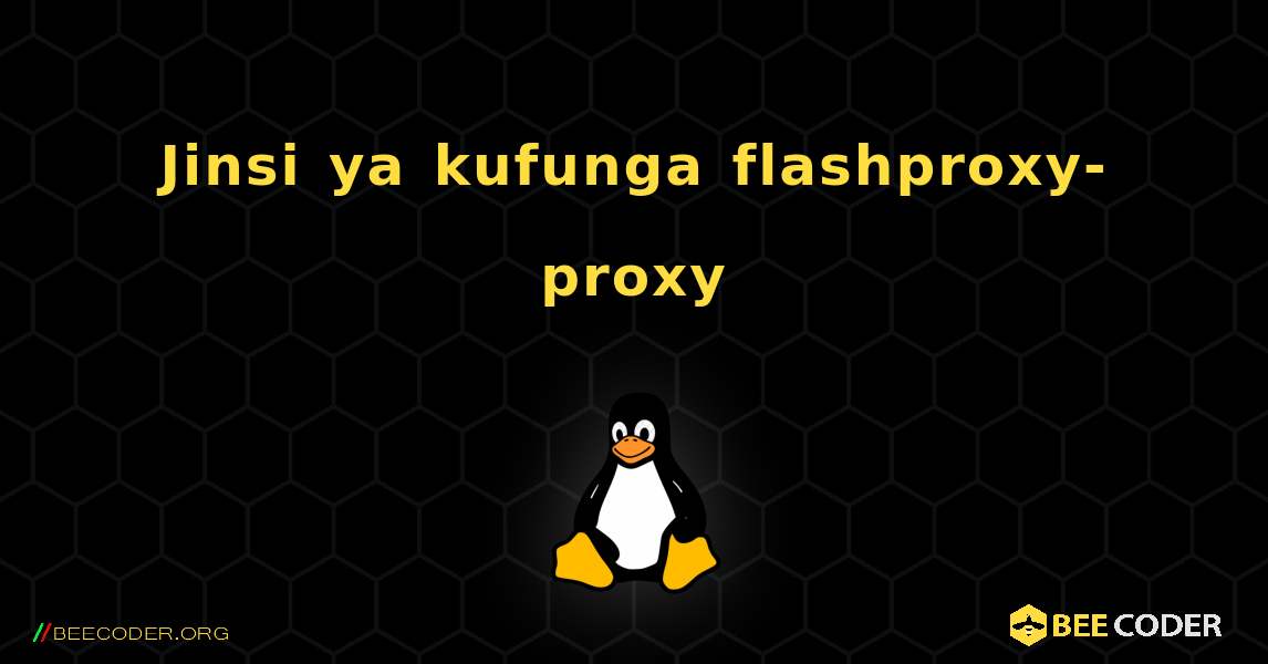 Jinsi ya kufunga flashproxy-proxy . Linux