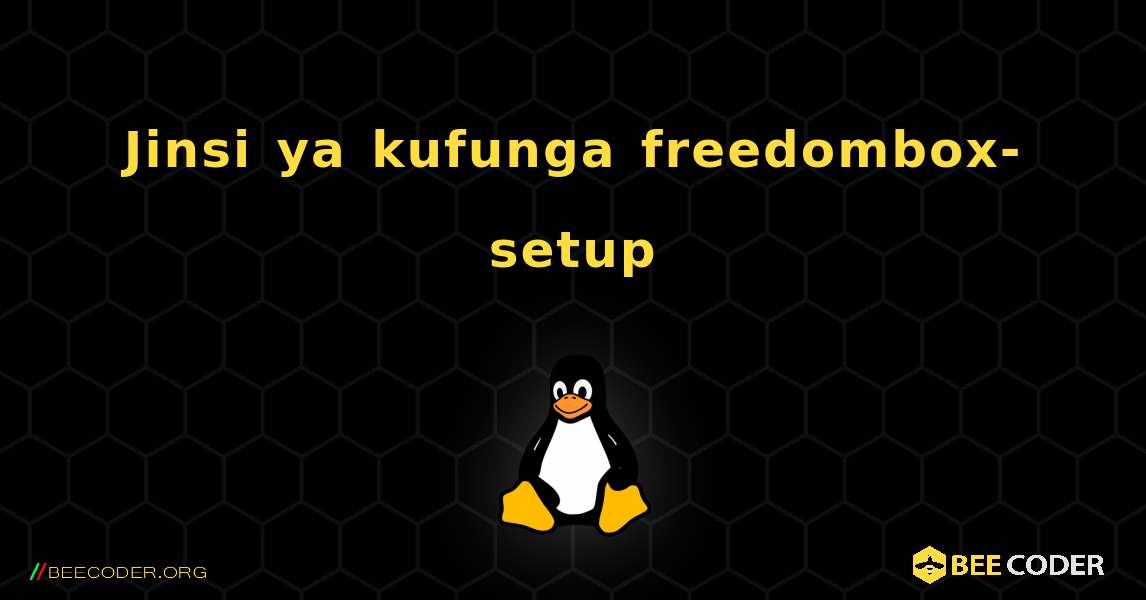 Jinsi ya kufunga freedombox-setup . Linux