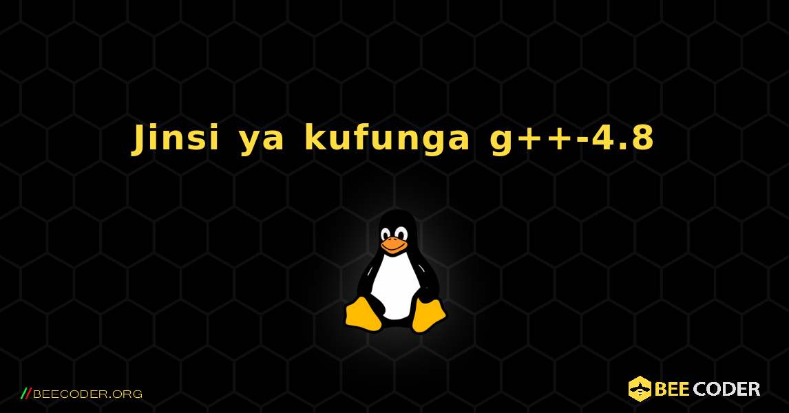 Jinsi ya kufunga g++-4.8 . Linux