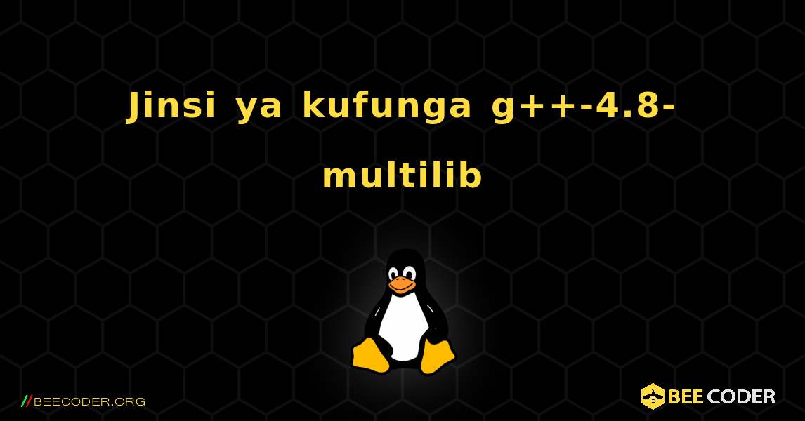 Jinsi ya kufunga g++-4.8-multilib . Linux