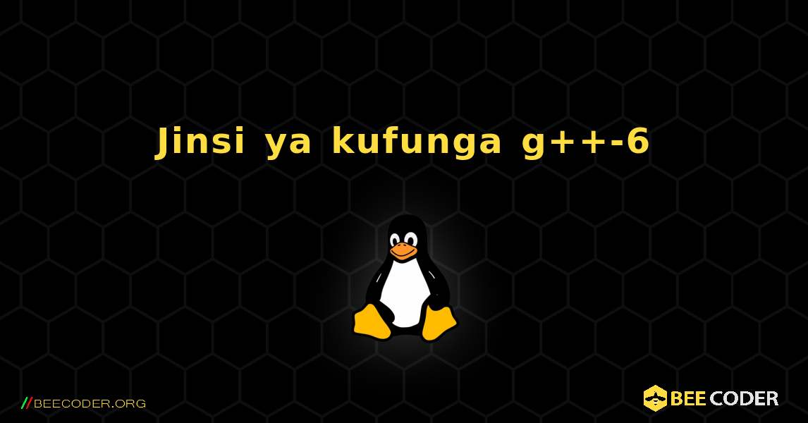 Jinsi ya kufunga g++-6 . Linux