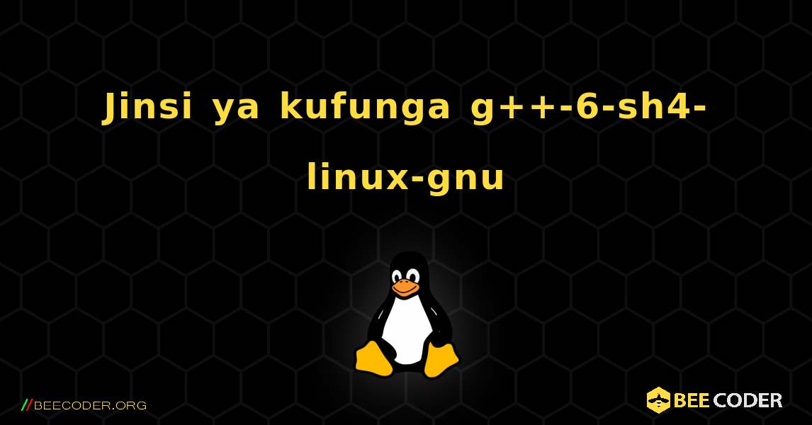 Jinsi ya kufunga g++-6-sh4-linux-gnu . Linux