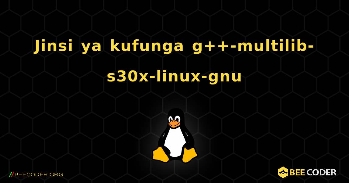 Jinsi ya kufunga g++-multilib-s30x-linux-gnu . Linux